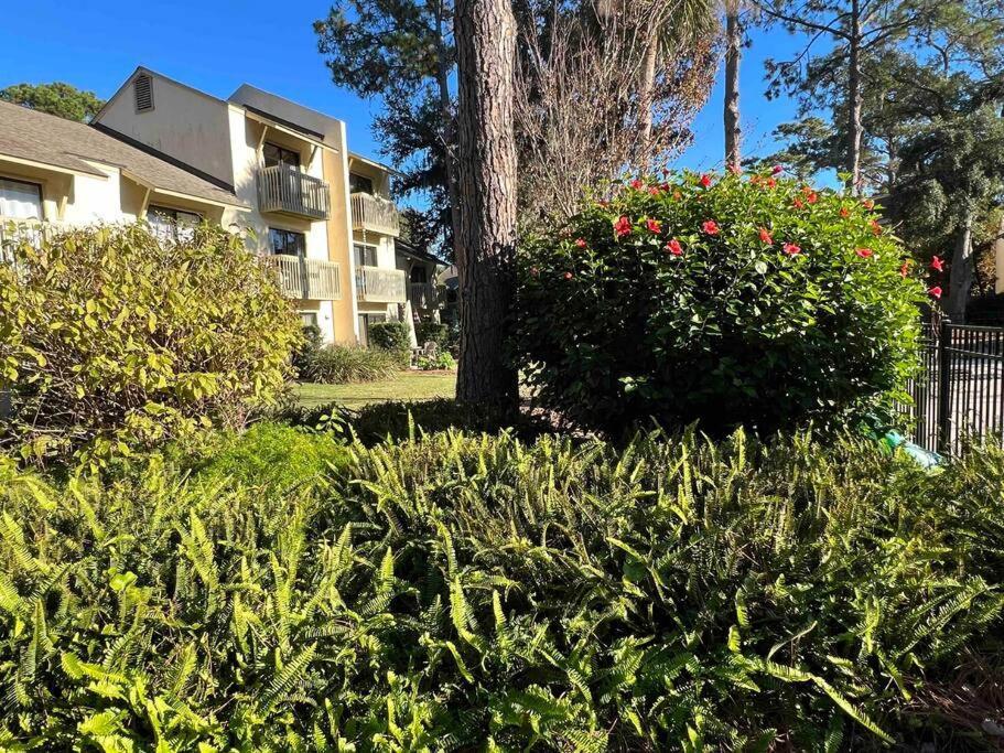Spacious, Cozy Villa W/Parking In Coligny Villas Hilton Head Island Bagian luar foto