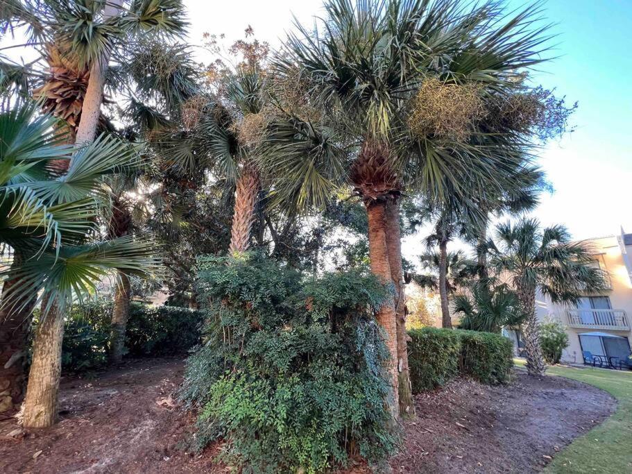 Spacious, Cozy Villa W/Parking In Coligny Villas Hilton Head Island Bagian luar foto